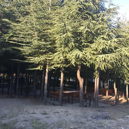 Stunning Beach Front Sveti Vlas